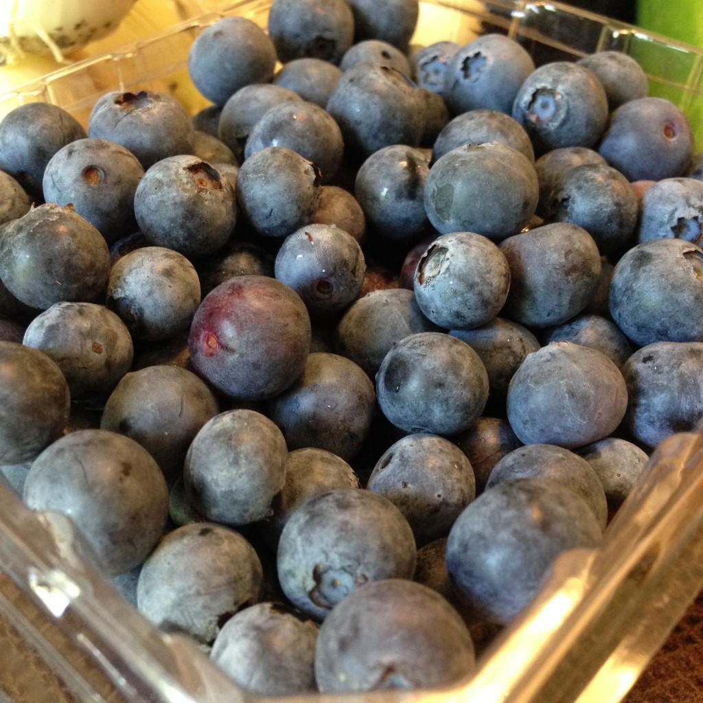 Berry Good Farms On The Go - Blueberries