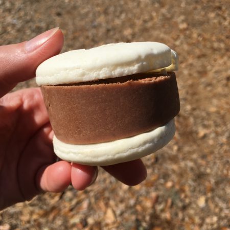 Guanabana - Macaron Ice Cream Sandwich