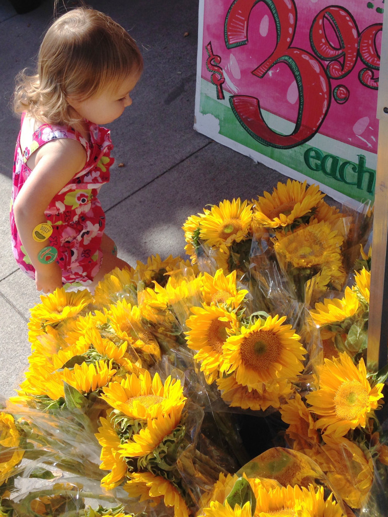 Trader Joe's Sunflowers Jacksonville Restaurant Reviews