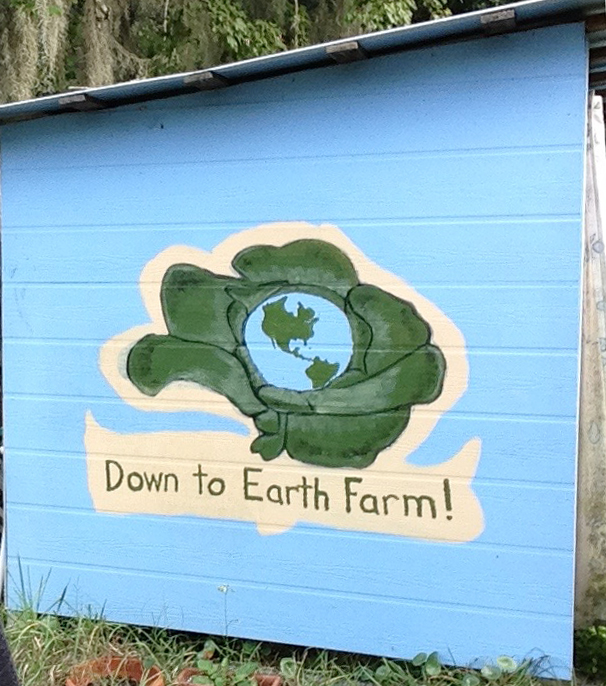 Down To Earth Farm